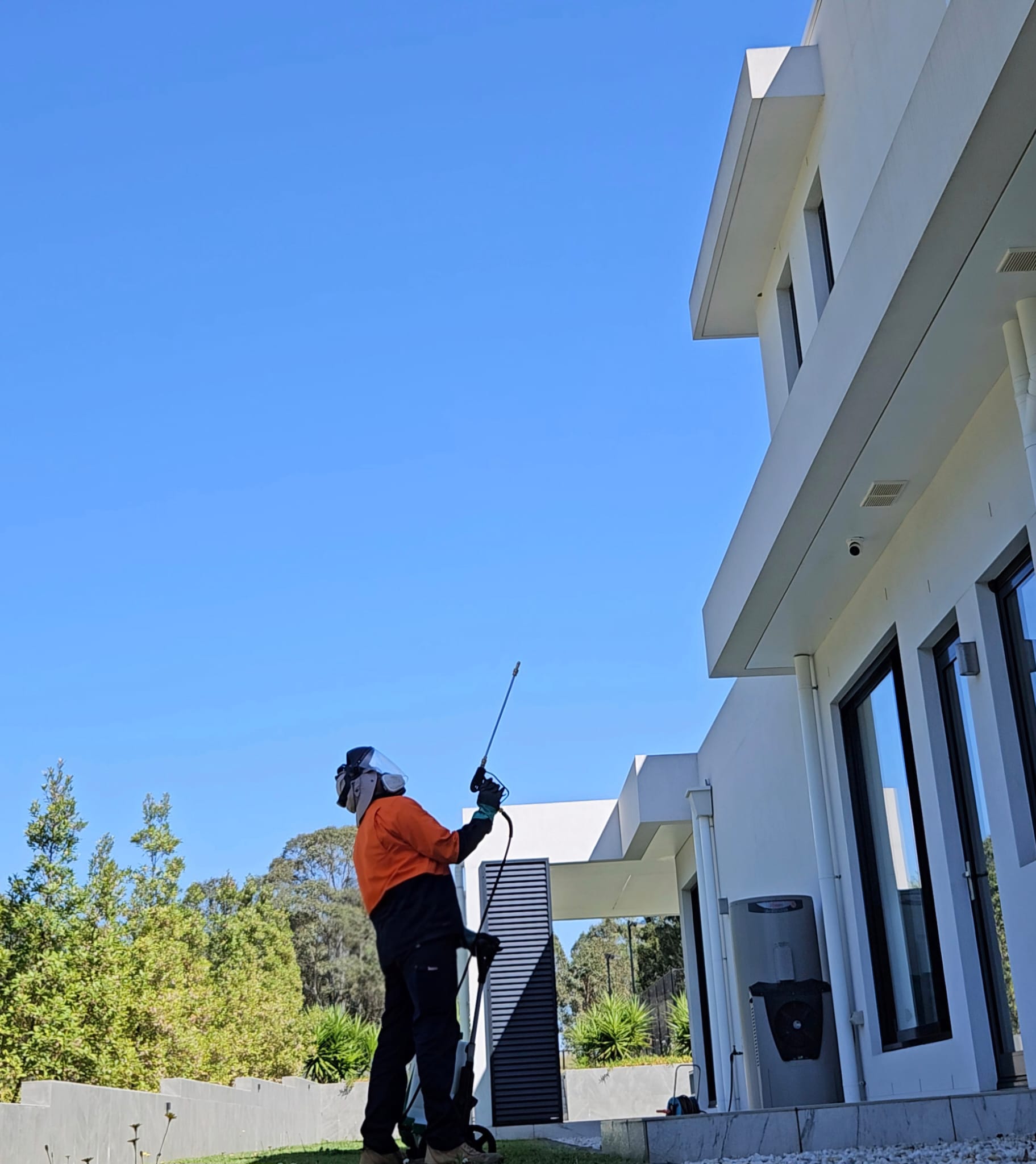 Clean pest controller spraying